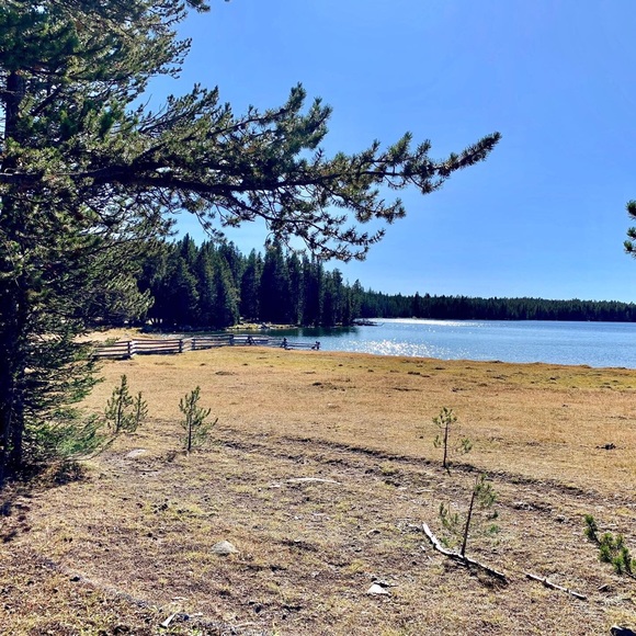 Meet your Posher, Lorranda - Picture 1 of 1